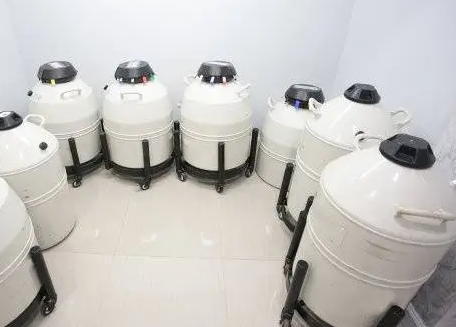 mvehth体会官方网页版 mvehth体会官方网页版