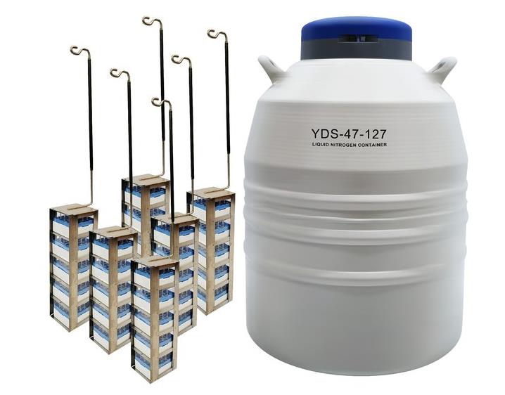 查特hth体会官方网页版